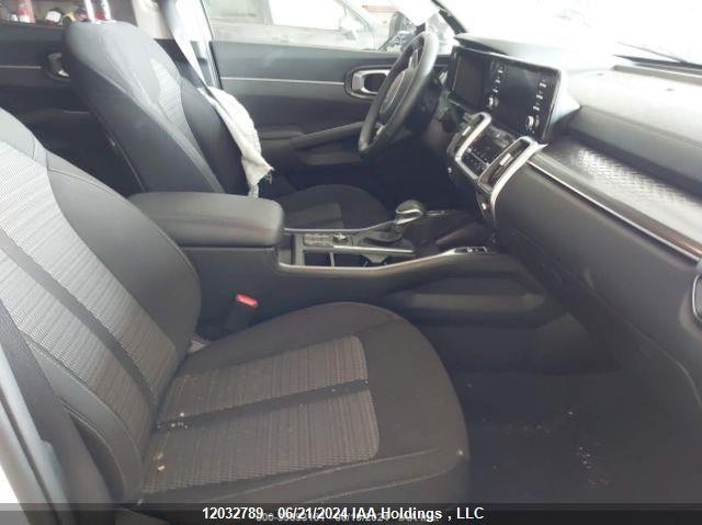 2023 Kia Sorento VIN: 5XYRGDLC7PG167105 Lot: 12032789