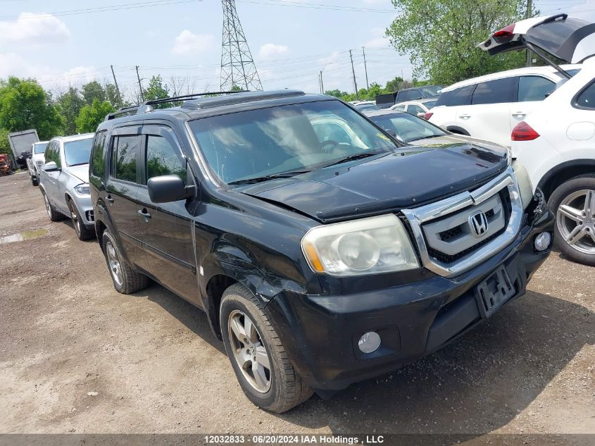 2011 Honda Pilot VIN: 5FNYF4H58BB506446 Lot: 12032833