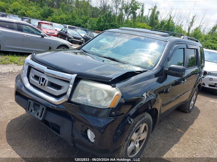 2011 Honda Pilot VIN: 5FNYF4H58BB506446 Lot: 12032833