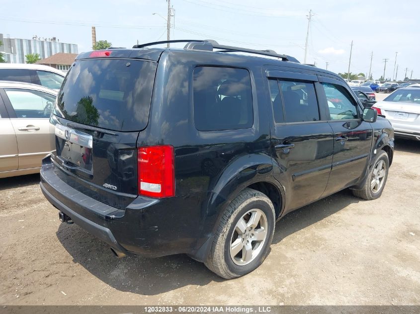 2011 Honda Pilot VIN: 5FNYF4H58BB506446 Lot: 12032833