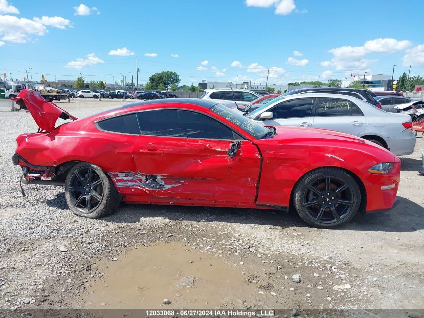 2019 Ford Mustang VIN: 1FA6P8TH4K5179953 Lot: 12033068