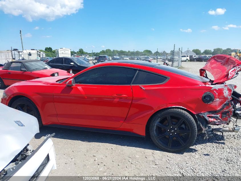 2019 Ford Mustang VIN: 1FA6P8TH4K5179953 Lot: 12033068