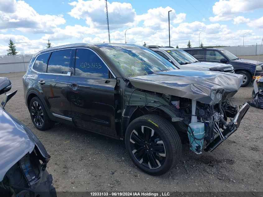 2023 Kia Telluride VIN: 5XYP5DGC8PG384069 Lot: 12033133