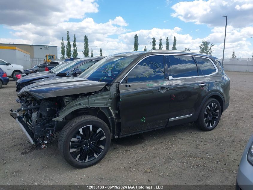 2023 Kia Telluride VIN: 5XYP5DGC8PG384069 Lot: 12033133