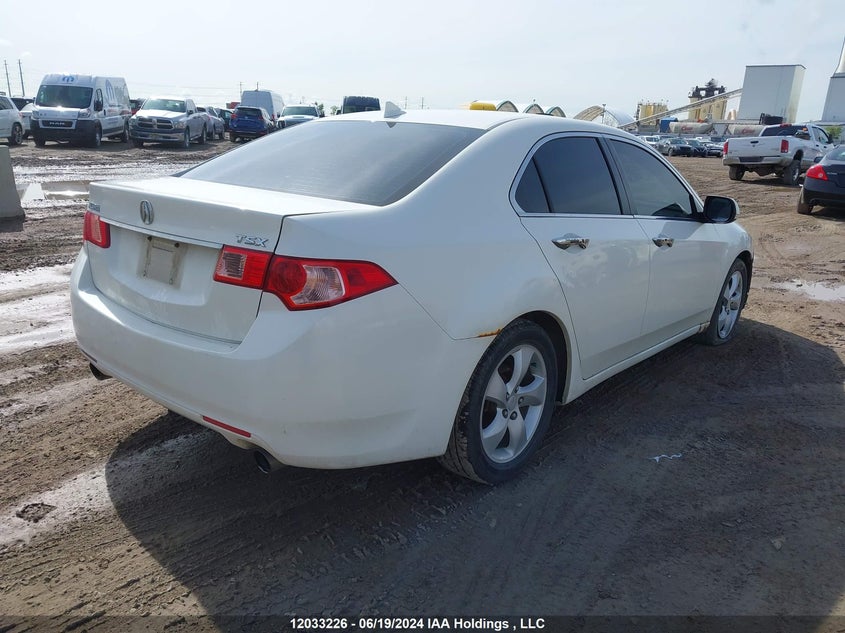 2011 Acura Tsx VIN: JH4CU2F60BC003280 Lot: 12033226