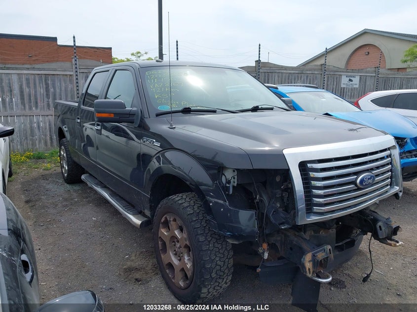 2011 Ford F150 Supercrew VIN: 1FTFW1EF8BFA28169 Lot: 12033268