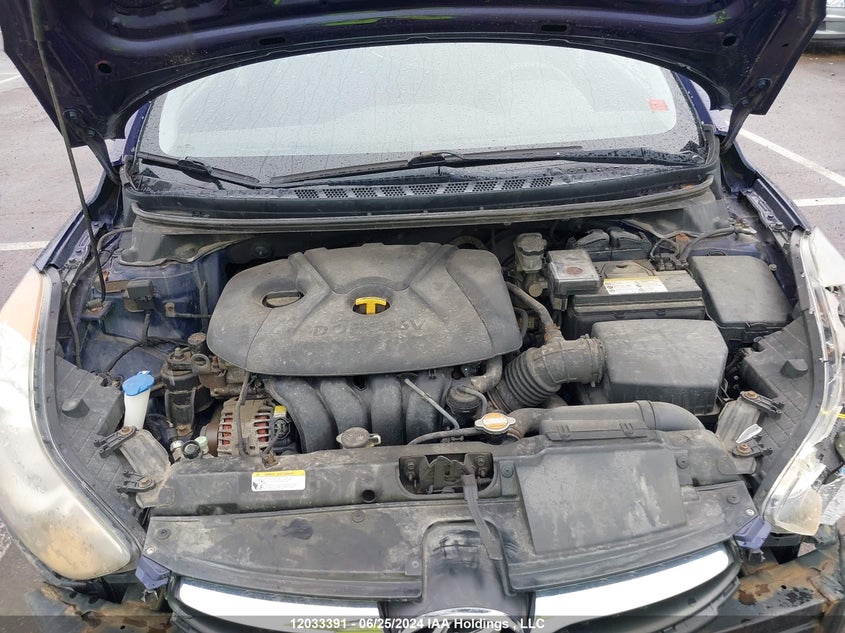 2012 Hyundai Elantra Gls/Limited VIN: 5NPDH4AE9CH065173 Lot: 12033391