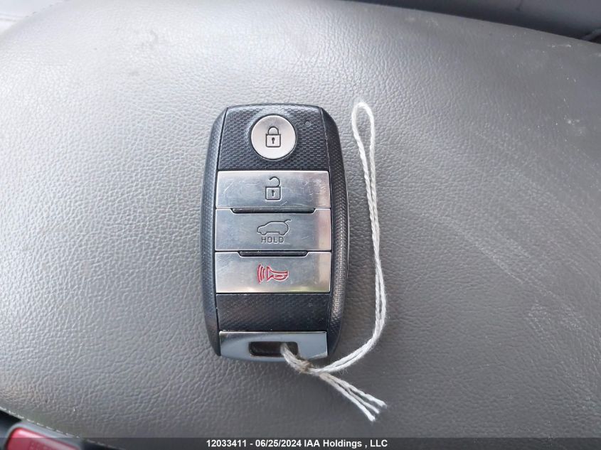 2017 Kia Soul Ev VIN: KNDJX3AE1H7023737 Lot: 12033411