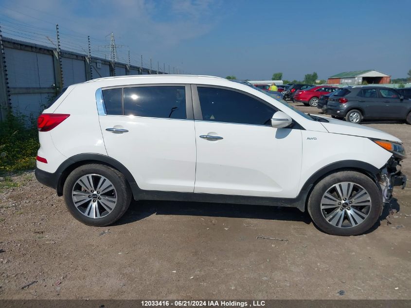 2014 Kia Sportage VIN: KNDPCCACXE7583479 Lot: 12033416