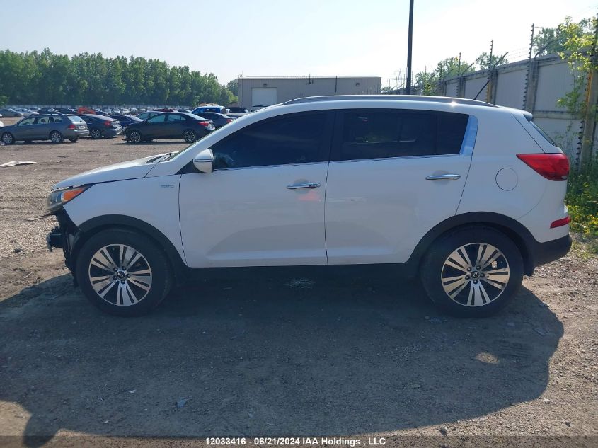 2014 Kia Sportage VIN: KNDPCCACXE7583479 Lot: 12033416