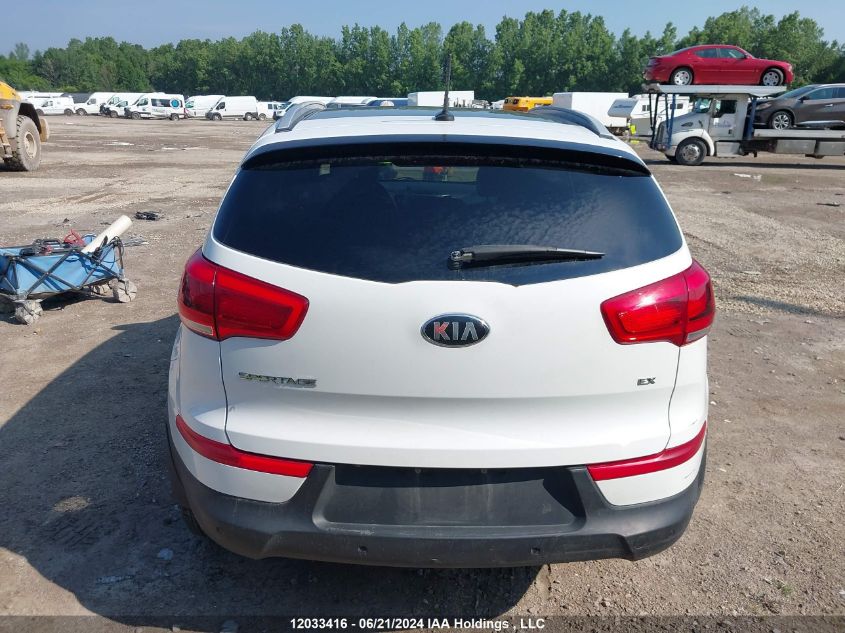 2014 Kia Sportage VIN: KNDPCCACXE7583479 Lot: 12033416