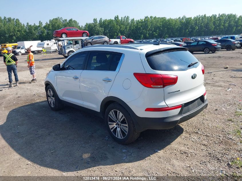 2014 Kia Sportage VIN: KNDPCCACXE7583479 Lot: 12033416