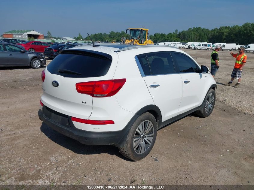 2014 Kia Sportage VIN: KNDPCCACXE7583479 Lot: 12033416