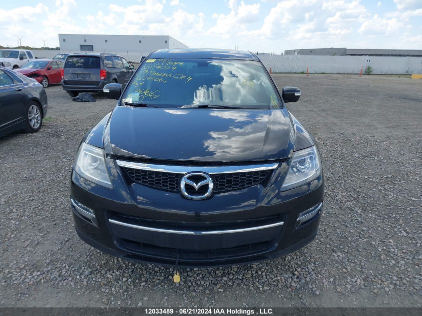 2009 Mazda Cx-9 VIN: JM3TB38A190169079 Lot: 12033489