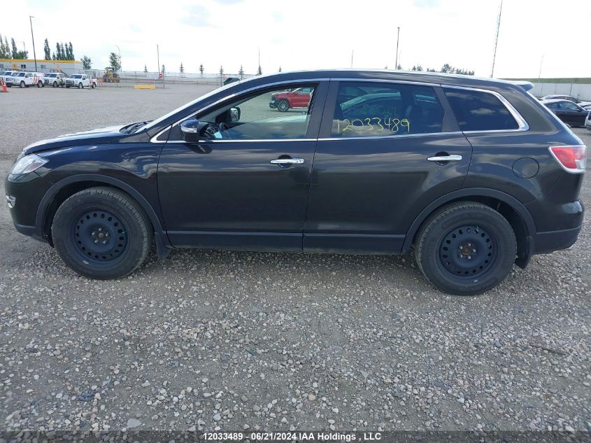 2009 Mazda Cx-9 VIN: JM3TB38A190169079 Lot: 12033489