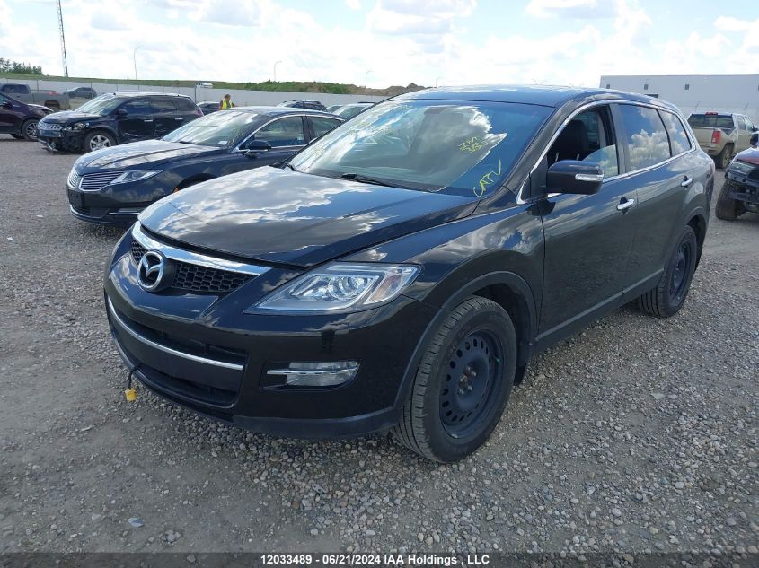 2009 Mazda Cx-9 VIN: JM3TB38A190169079 Lot: 12033489