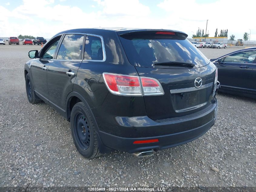 2009 Mazda Cx-9 VIN: JM3TB38A190169079 Lot: 12033489