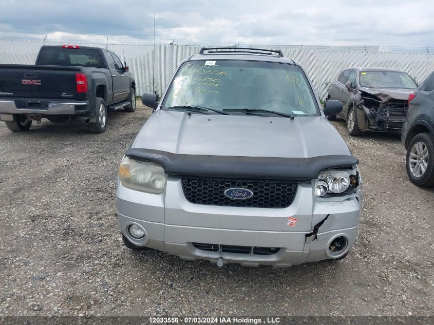 2007 Ford Escape Xlt VIN: 1FMYU93197KA44850 Lot: 12033556