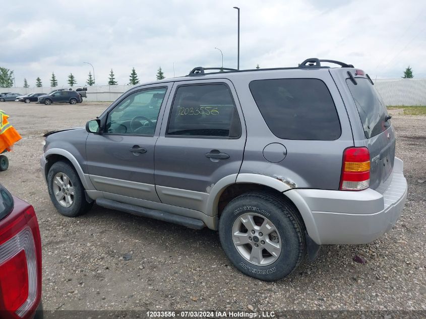 2007 Ford Escape Xlt VIN: 1FMYU93197KA44850 Lot: 12033556