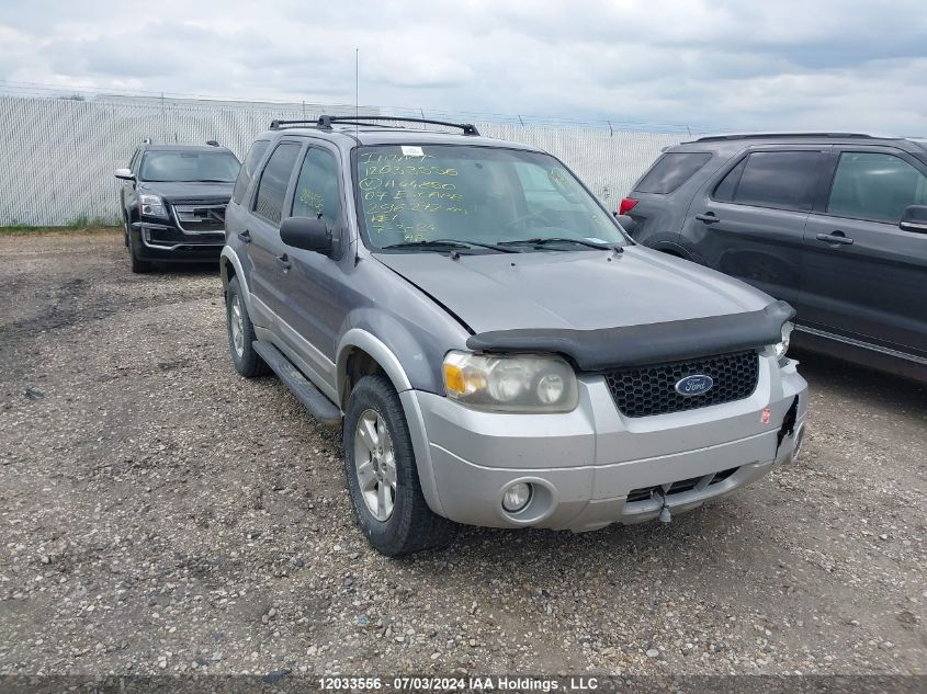 2007 Ford Escape Xlt VIN: 1FMYU93197KA44850 Lot: 12033556