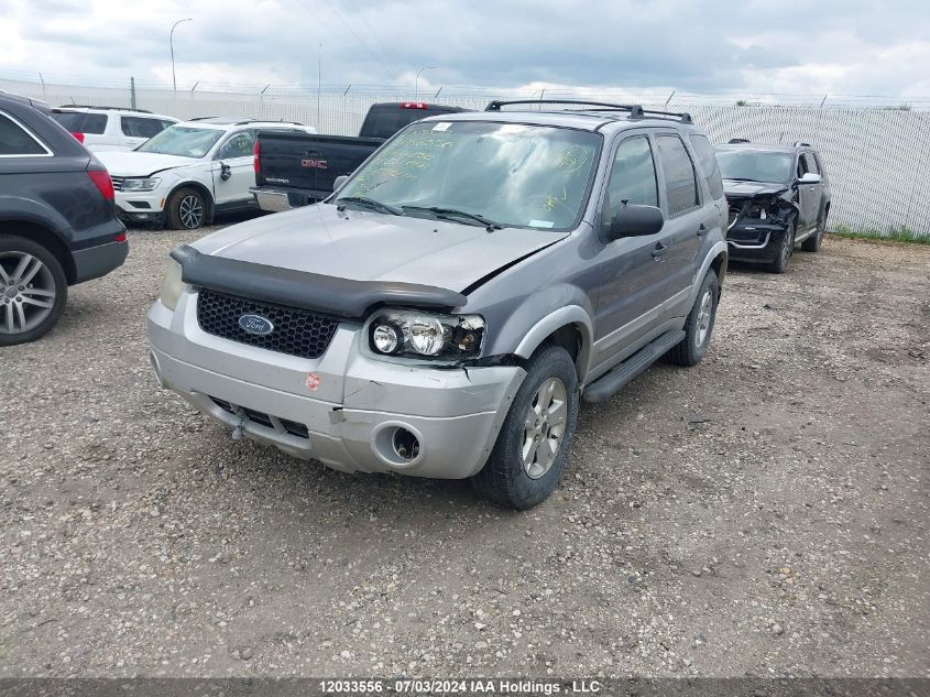 2007 Ford Escape Xlt VIN: 1FMYU93197KA44850 Lot: 12033556