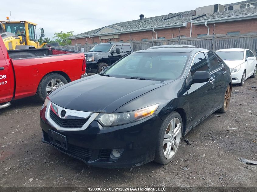 2010 Acura Tsx VIN: JH4CU4F42AC800039 Lot: 12033602