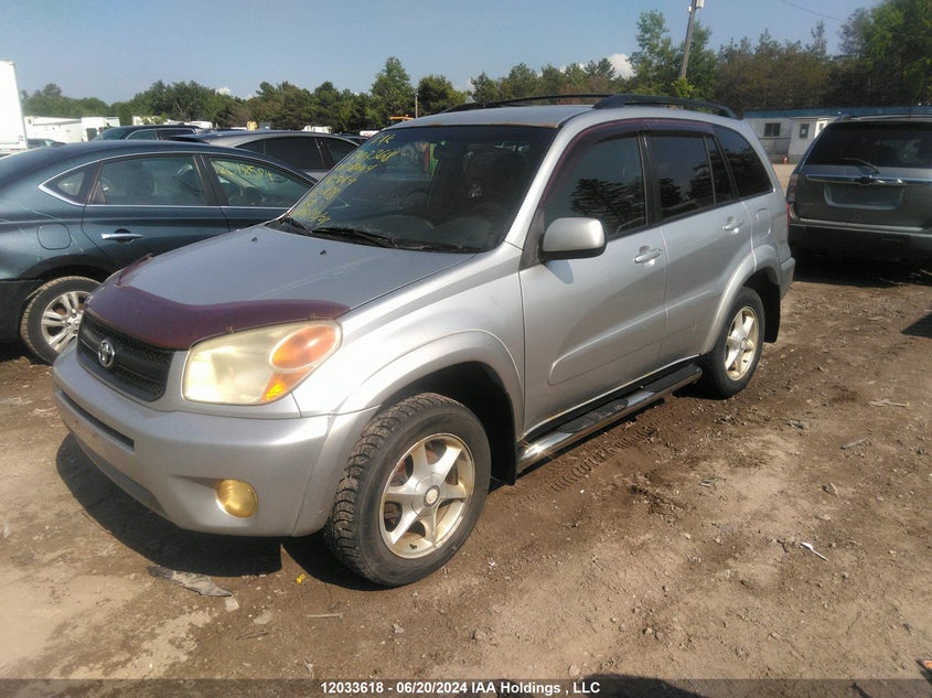 2004 Toyota Rav4 VIN: JTEHD20VX46010547 Lot: 12033618