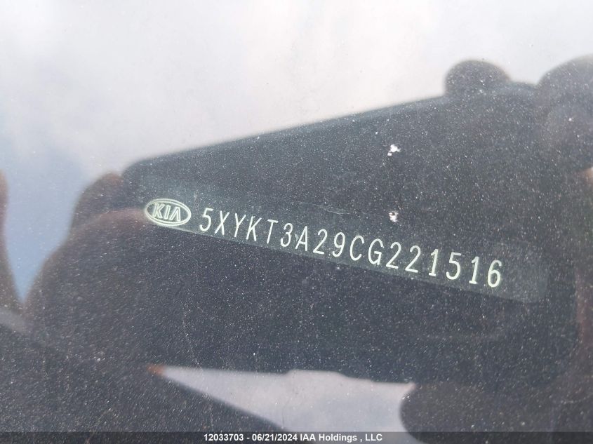 2012 Kia Sorento VIN: 5XYKT3A29CG221516 Lot: 12033703