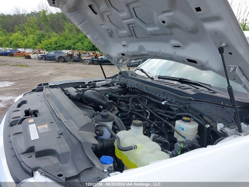 2023 Ford F250 Super Duty VIN: 1FTBF2BN9PED04758 Lot: 12033736