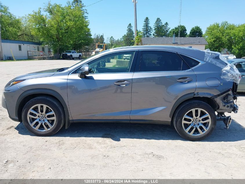 2021 Lexus Nx 300 Base/300 Luxury/300 F-Sport VIN: JTJGARDZXM2244741 Lot: 12033773