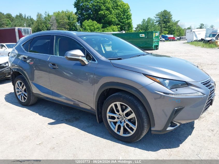 2021 Lexus Nx 300 Base/300 Luxury/300 F-Sport VIN: JTJGARDZXM2244741 Lot: 12033773