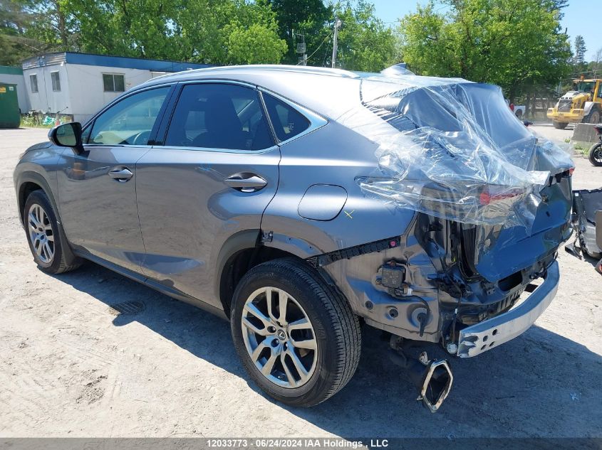 2021 Lexus Nx 300 Base/300 Luxury/300 F-Sport VIN: JTJGARDZXM2244741 Lot: 12033773