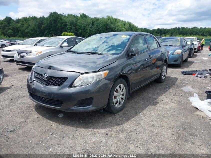 2009 Toyota Corolla VIN: 2T1BU40E99C066338 Lot: 12033915