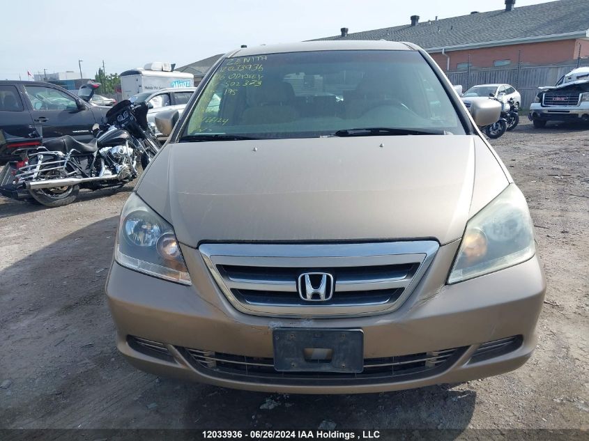 2006 Honda Odyssey VIN: 5FNRL38436B502373 Lot: 12033936