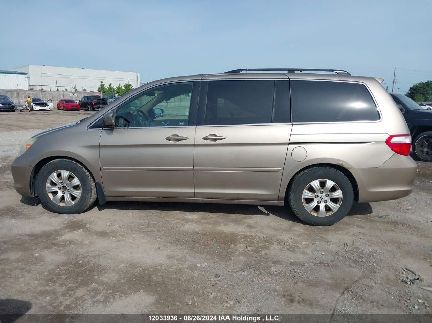 2006 Honda Odyssey VIN: 5FNRL38436B502373 Lot: 12033936