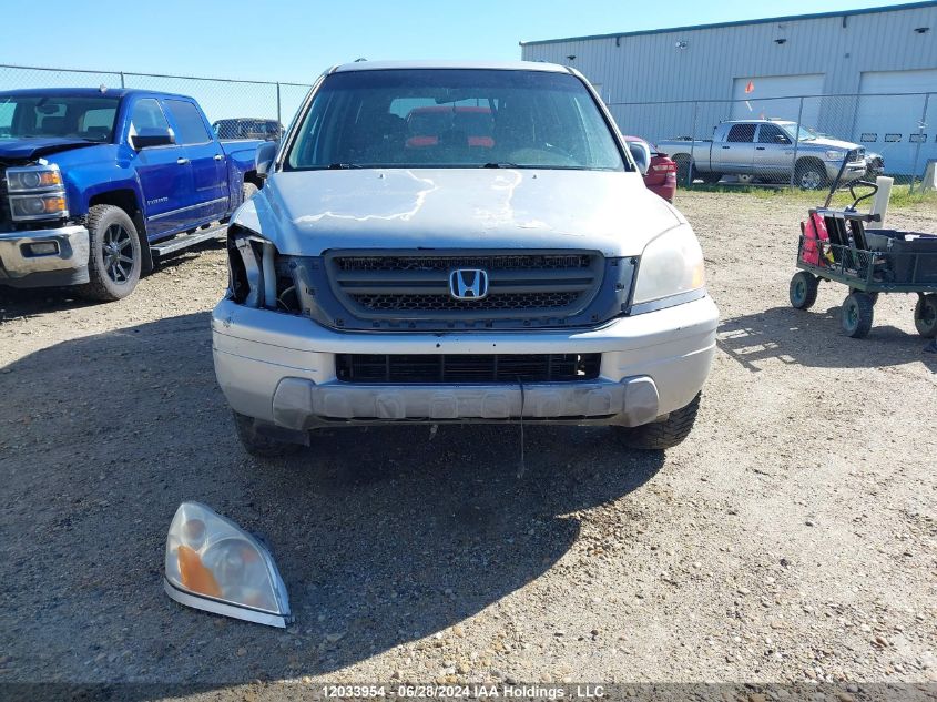 2005 Honda Pilot VIN: 5FNYF18445B025300 Lot: 12033954