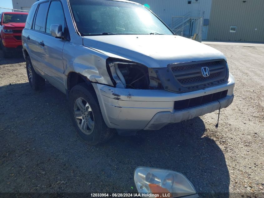 2005 Honda Pilot VIN: 5FNYF18445B025300 Lot: 12033954