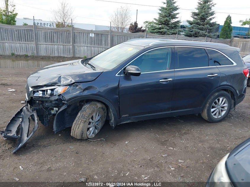 2016 Kia Sorento VIN: 5XYPGDA38GG159704 Lot: 12033972