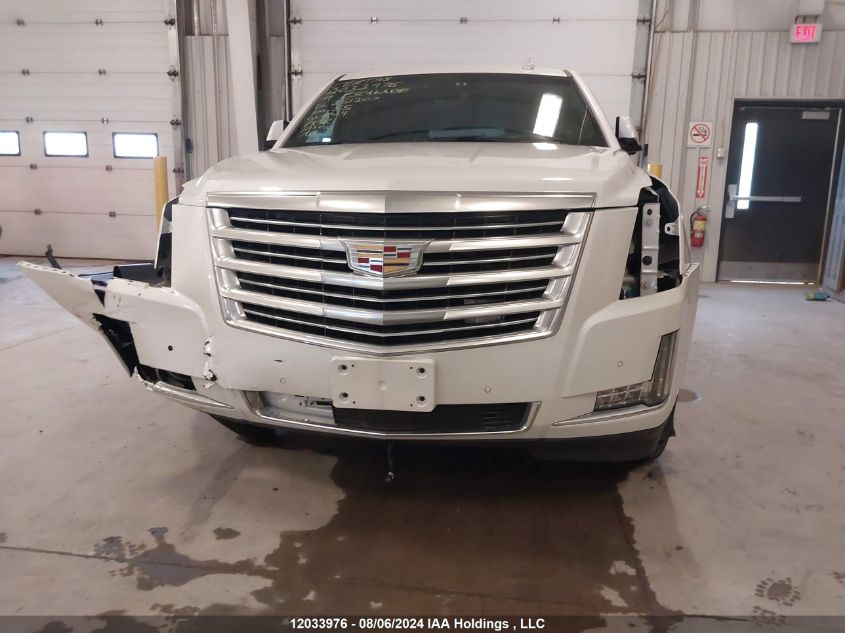 2019 Cadillac Escalade VIN: 1GYS4DKJXKR251207 Lot: 12033976