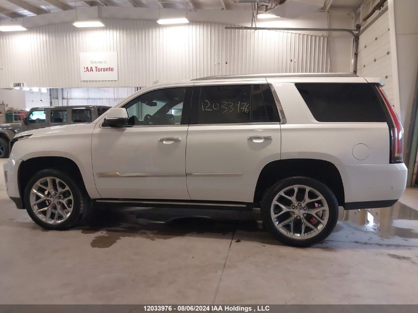 2019 Cadillac Escalade VIN: 1GYS4DKJXKR251207 Lot: 12033976