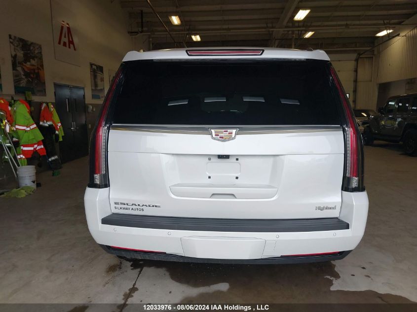 2019 Cadillac Escalade VIN: 1GYS4DKJXKR251207 Lot: 12033976