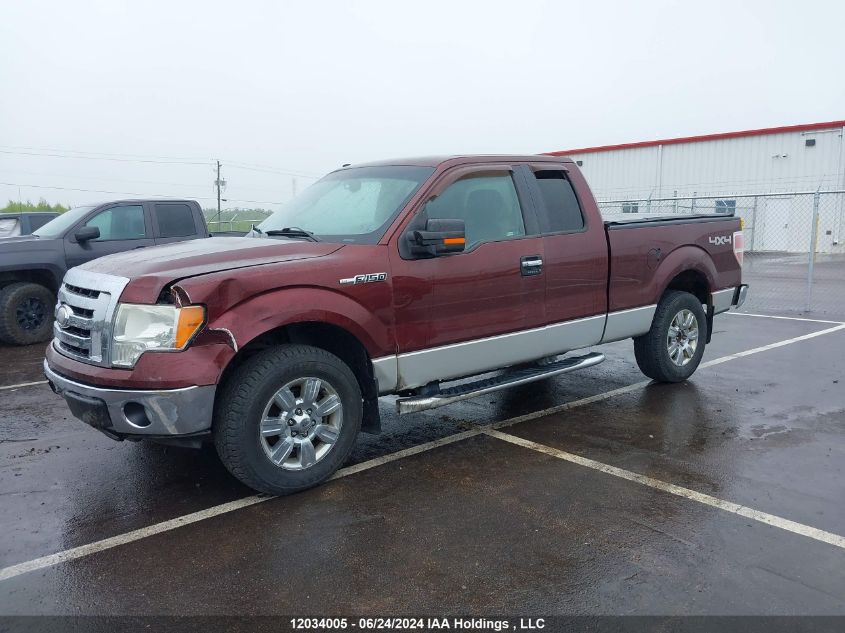 2009 Ford F-150 VIN: 1FTPX14V59FB37256 Lot: 12034005