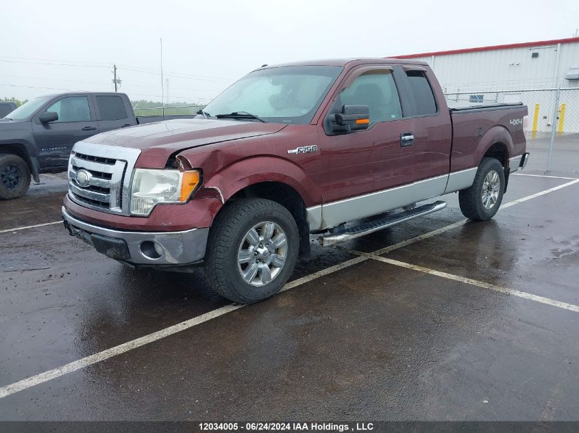 2009 Ford F-150 VIN: 1FTPX14V59FB37256 Lot: 12034005