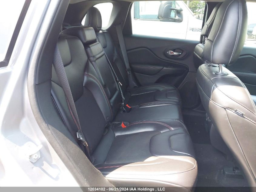 2019 Jeep Cherokee Trailhawk VIN: 1C4PJMBXXKD306499 Lot: 12034102