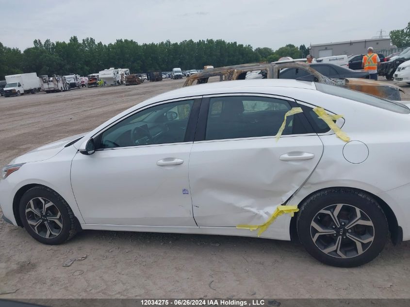 2019 Kia Forte VIN: 3KPF54AD9KE123794 Lot: 12034275