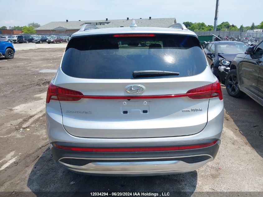 2023 Hyundai Santa Fe Limited VIN: KM8S5DA15PU092066 Lot: 12034294