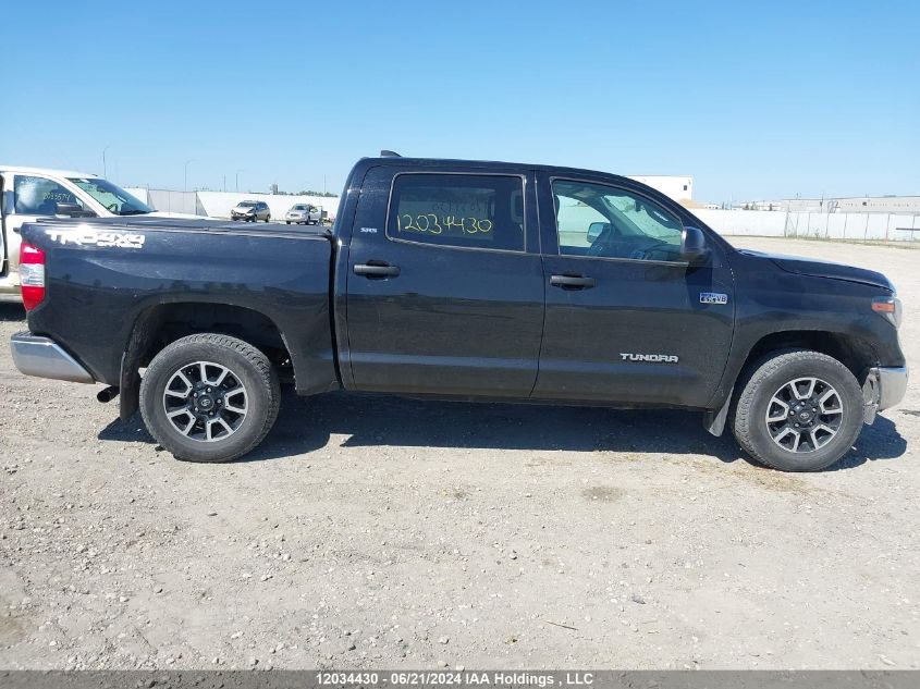 2021 Toyota Tundra Crewmax Sr5/Crewmax Trd Pro VIN: 5TFDY5F14MX047956 Lot: 12034430