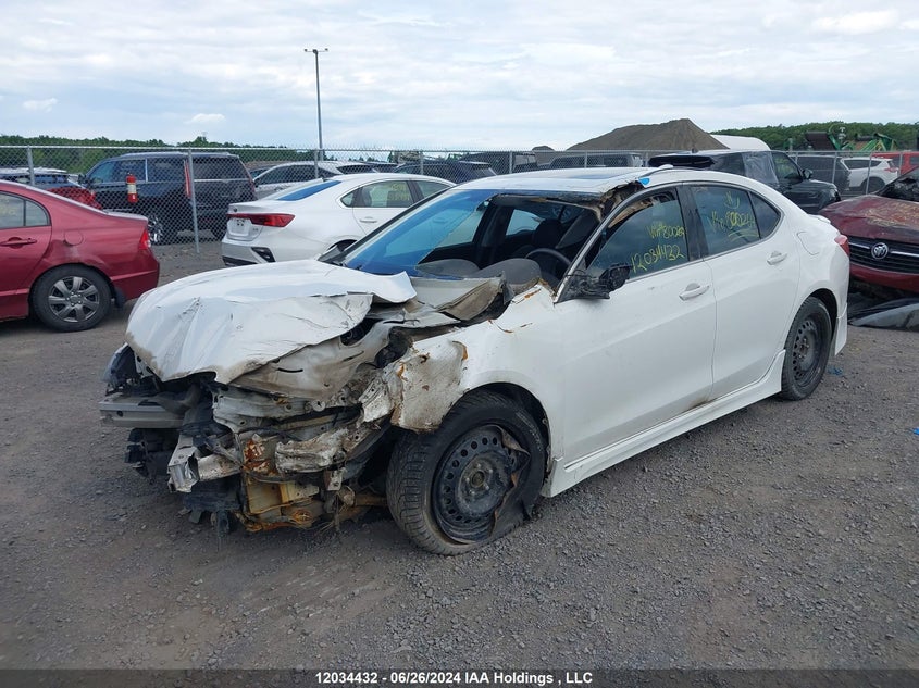 2015 Acura Tlx VIN: 19UUB1F31FA800264 Lot: 12034432