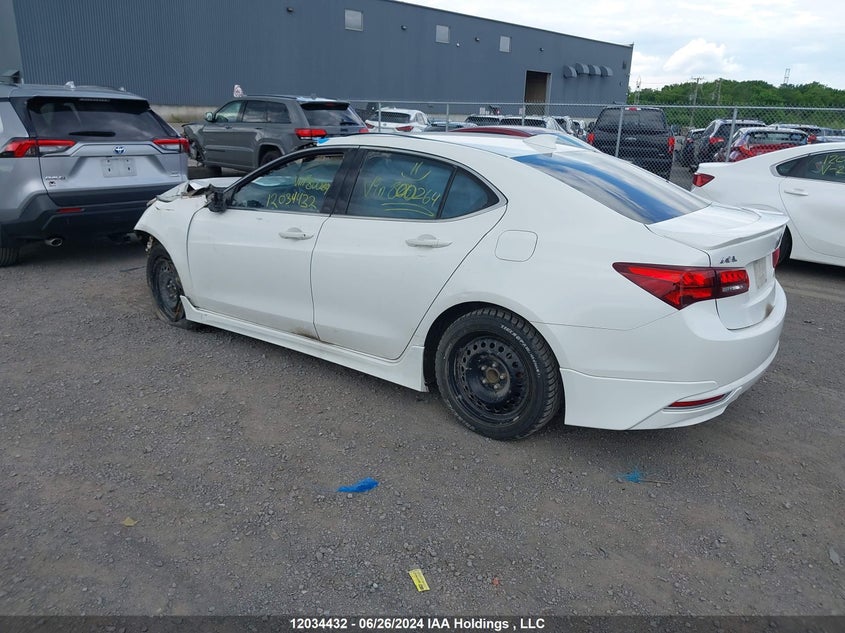 2015 Acura Tlx VIN: 19UUB1F31FA800264 Lot: 12034432