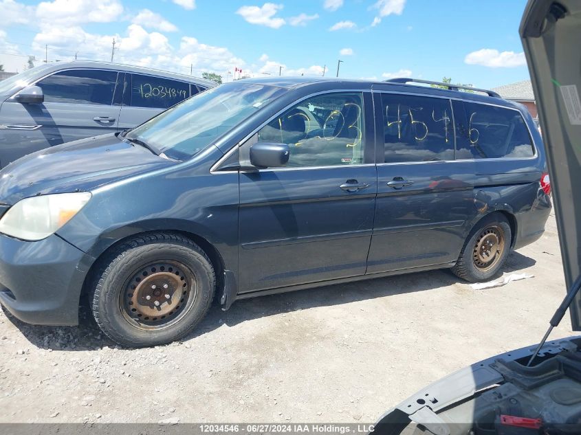 2006 Honda Odyssey VIN: 5FNRL38436B504947 Lot: 12034546